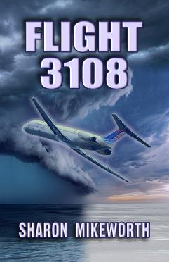 Flight 3108 details