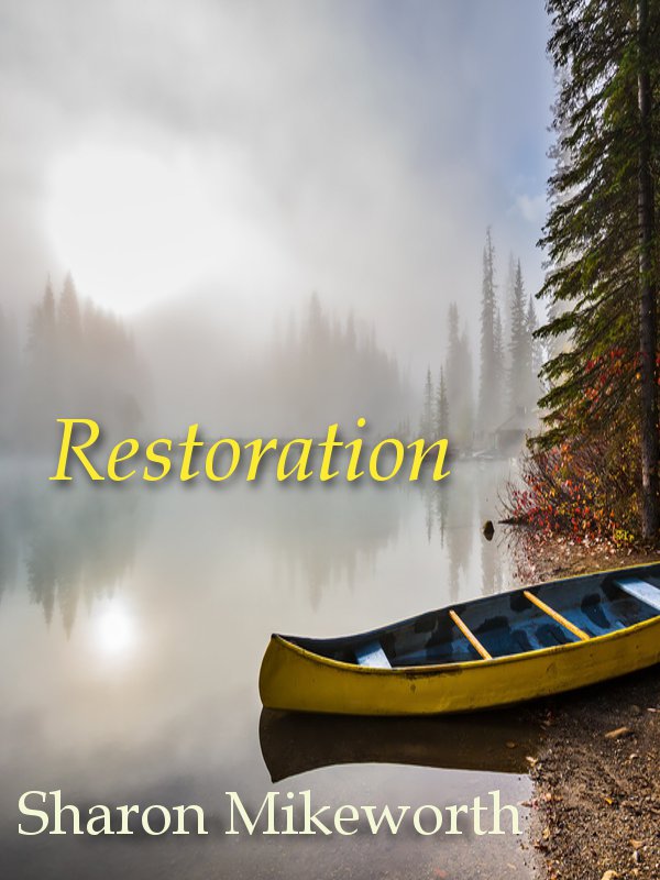 Restoration details