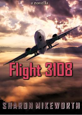 Flight 3108 details