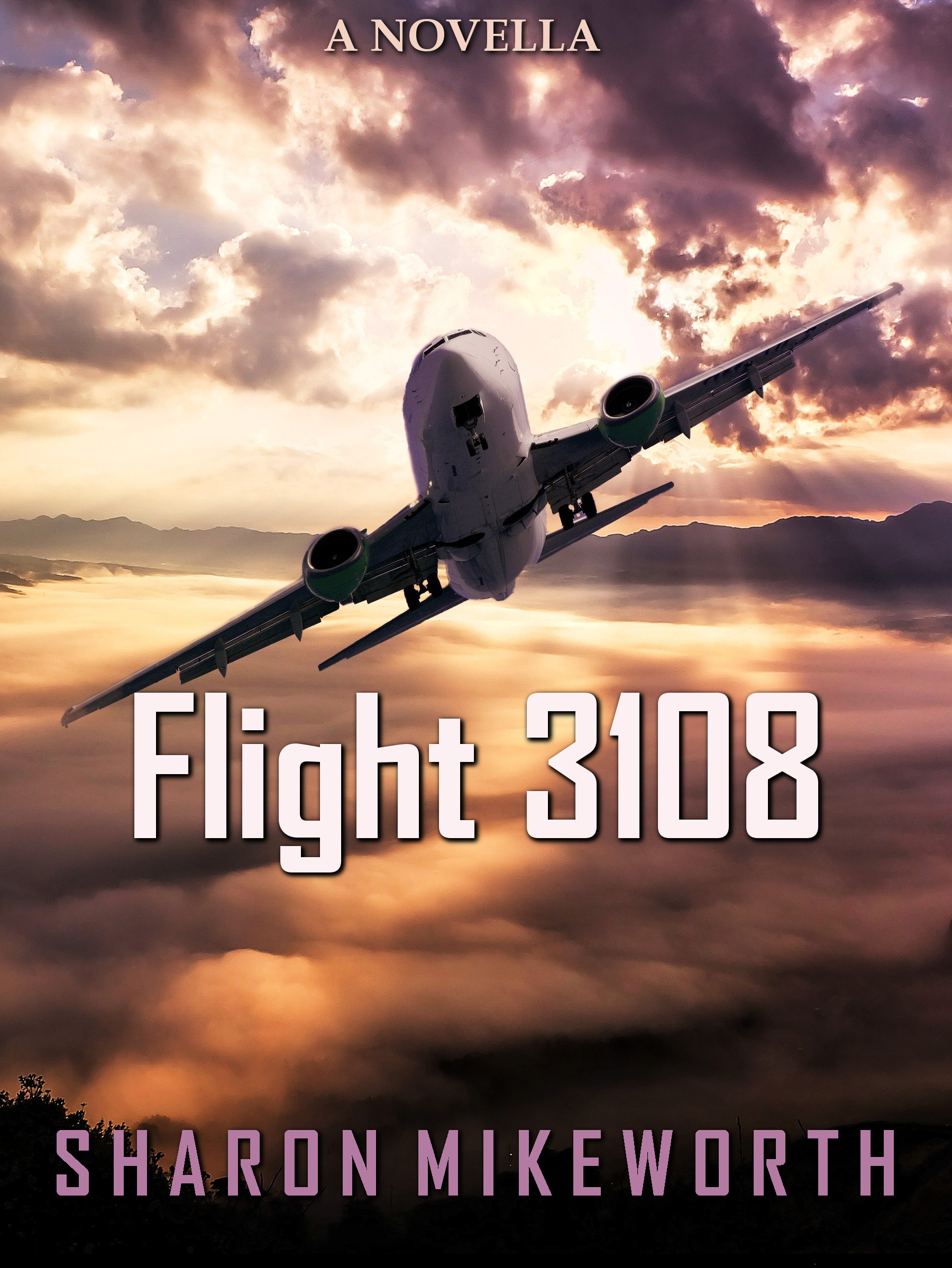 Flight 3108 details